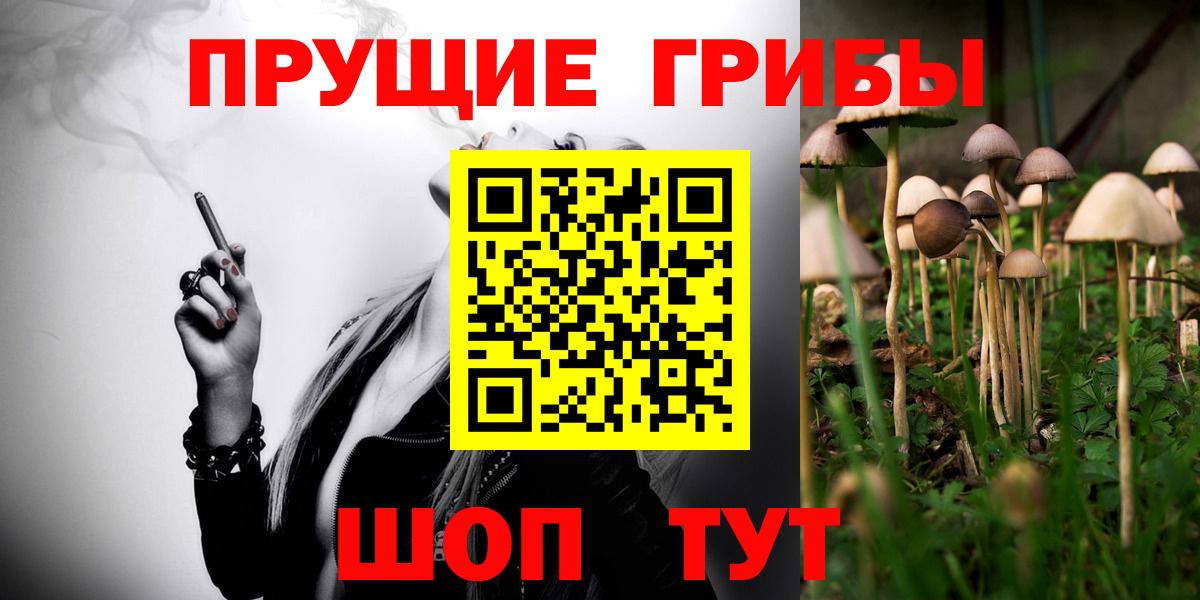 Псилоцибиновые грибы мицелий Свободный