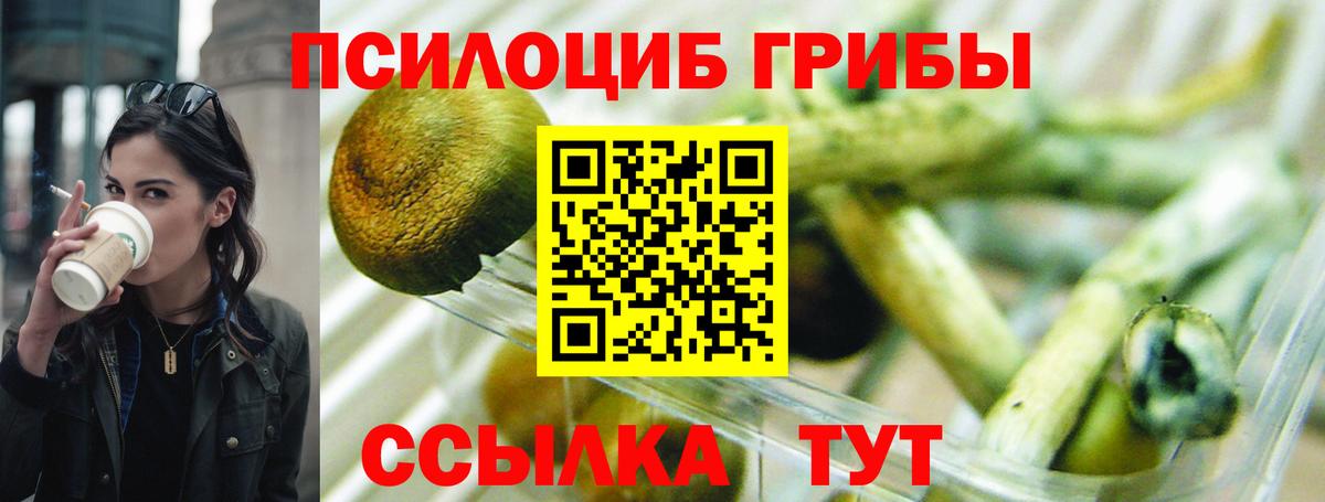 Галлюциногенные грибы мухоморы  Галлюциногенные грибы мицелий  Вход с VPN  Свободный 